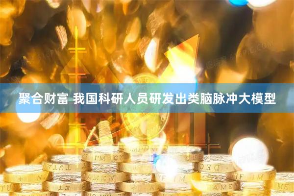 聚合财富 我国科研人员研发出类脑脉冲大模型