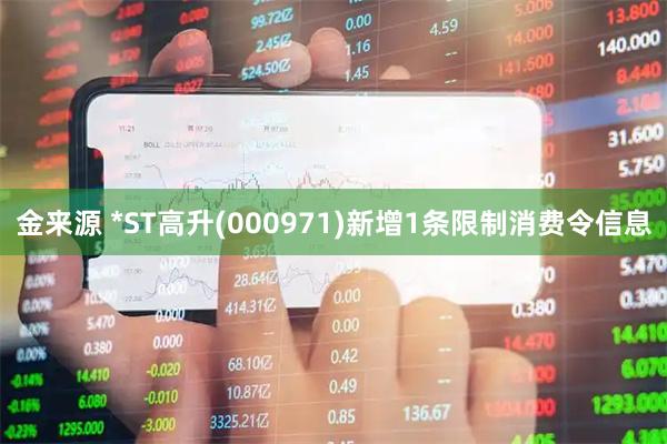 金来源 *ST高升(000971)新增1条限制消费令信息