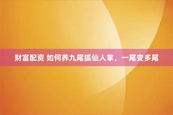 财富配资 如何养九尾狐仙人掌，一尾变多尾
