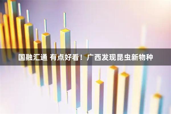 国融汇通 有点好看！广西发现昆虫新物种