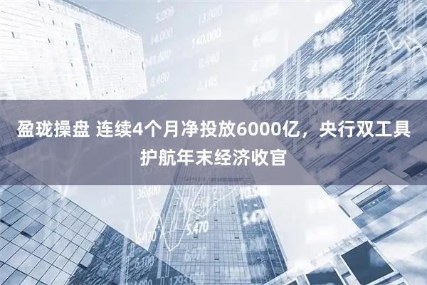 盈珑操盘 连续4个月净投放6000亿，央行双工具护航年末经济收官
