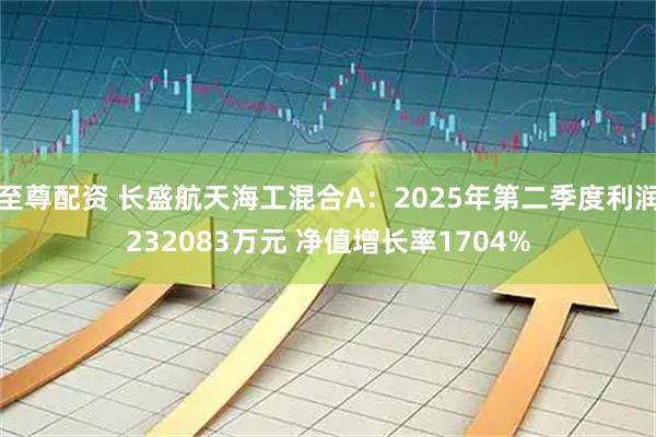 至尊配资 长盛航天海工混合A：2025年第二季度利润232083万元 净值增长率1704%